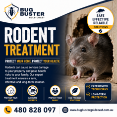 Protect your home or business from rats and mice with professional Rodent Treatment Gold Coast services from Bug Buster Gold Coast. Our experienced technicians provide safe, effective, and eco-friendly rodent control solutions that eliminate infestations and help prevent future problems. We use proven treatment methods to protect your property, family, and pets while ensuring long-term results. Whether you're dealing with scratching noises, droppings, or visible rodent activity, our team is ready to respond quickly. Call 480 828 097 today or visit www.bugbustergoldcoast.com.au to book your professional rodent inspection and treatment across the Gold Coast.