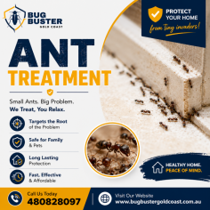 Are ants taking over your home or business? Bug Buster Gold Coast provides reliable and effective ant treatment services across the Gold Coast to help keep your property protected from persistent ant infestations. Our experienced technicians identify the source of the problem and apply safe, targeted treatments designed for long-lasting results. We use family and pet-friendly solutions wherever possible, ensuring your home remains comfortable and protected. Whether you're dealing with sugar ants, black ants, or other common species, trust Bug Buster Gold Coast for prompt, professional service. Call 480828097 or visit www.bugbustergoldcoast.com.au to book your ant treatment today.