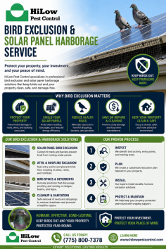 HiLow Pest Control provides bird exclusion and solar panel harborage services to help protect homes and commercial properties from nesting, droppings, debris buildup, and bird-related damage. Their professional solutions are designed to block access, reduce mess, protect solar panels, and maintain a cleaner, safer property environment. Call (775) 800-7378.