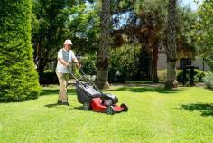Best Lawn Care in Saskatoon for a Greener and Healthier Lawn
A green lawn needs regular attention. Grass can lose colour and strength because of weeds, dry soil, heavy foot traffic, or poor mowing habits. Choosing the best lawn care in Saskatoon helps address these issues before they lead to lasting damage.
Professional Saskatoon lawn care services may also include lawn checks, fertilizing, weed treatments, and seasonal maintenance. These services save time while helping property owners maintain a neat and welcoming yard.
Every lawn has different needs. Green Drop
Lawns Ltd can review thin grass, bare areas, soil problems, and weed activity during the growing season. This allows treatments to be selected based on the lawn’s current condition instead of using a general approach.
Reliable Saskatoon lawn maintenance services also help prepare grass for changing weather. Spring care supports new growth, while fall maintenance helps roots store nutrients before winter.
Regular lawn care in Saskatoon can improve colour, density, and overall lawn health. It also helps reduce weak areas where weeds may grow. A well-maintained lawn can improve curb appeal and make outdoor spaces more enjoyable.
Good lawn care begins with a clear plan. Mowing at the correct height protects grass roots. Proper watering keeps the soil moist without flooding it. Seasonal feeding provides the nutrients needed for steady growth. See the nearby Saskatoon service point and start building a greener lawn with care designed for local conditions.