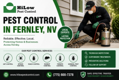 HiLow Pest Control provides reliable pest control in Fernley, NV, for homes and businesses dealing with insects, rodents, wildlife, and recurring infestations. The team offers detailed inspections, customized treatments, preventive plans, and follow-up support to help protect your property year-round. Call (775) 800-7378 for service details.