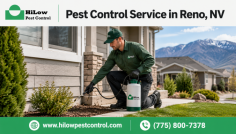 HiLow Pest Control provides reliable pest control service in Reno, NV for homes and businesses dealing with ants, rodents, spiders, wasps, termites, bed bugs, and other unwanted pests. Its process includes detailed inspection, customized treatment, sanitation, and prevention guidance using effective, environmentally responsible methods. Call (775) 800-7378 for more information.