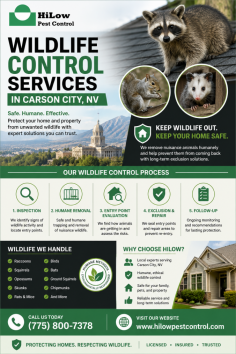 HiLow Pest Control provides reliable wildlife control services in Carson City, NV for homes and businesses dealing with unwanted animal activity. Its professional approach includes inspections, humane wildlife removal, entry-point evaluation, and exclusion solutions designed to help prevent future intrusions. Call (775) 800-7378 to schedule service.