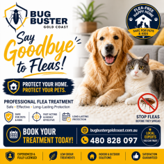 Are fleas causing discomfort for your family and pets? Get reliable flea treatment services across the Gold Coast with professional solutions designed to help manage flea infestations in homes and businesses. Our experienced team uses effective treatment methods to target fleas at different life stages, helping create a cleaner and more comfortable environment. Whether you need flea control for carpets, furniture, pet areas, or your entire property, we provide thorough inspections and tailored treatments to suit your needs. Contact us today for trusted flea treatment Gold Coast services and take the first step toward a flea-free home.