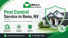 HiLow Pest Control provides professional pest control service in Reno, NV for homes and businesses dealing with common pest problems. Their services are designed to help identify pest activity, treat affected areas, and support ongoing protection for a cleaner, more comfortable property. They also offer tailored pest management solutions based on the type of pest and the needs of the property. Call (775) 800-7378 for more information.