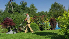 How Do Lawn Care Experts Keep Grass Green and Healthy?
Keeping a lawn green and healthy requires consistent attention to soil, moisture, nutrients, and mowing habits throughout the growing season. Healthy grass develops stronger roots, resists weeds more effectively, and stays greener for longer when maintenance follows the lawn's natural growth cycle instead of relying on occasional treatments.
Experienced local lawn care experts begin by evaluating soil quality, drainage, sunlight exposure, and the condition of existing turf. This helps determine which treatments are needed and when to apply them. Proper timing helps prevent stress and supports steady growth.
Routine residential lawn care services help maintain lawn health by combining mowing, fertilization, aeration, overseeding, and weed control when conditions are most suitable. These practices improve nutrient absorption, encourage thicker grass, and reduce competition from unwanted weeds without unnecessary applications.
A reliable lawn care company also recommends watering techniques that encourage deeper root growth rather than shallow grass development. Watering less frequently but more deeply often helps lawns become more resilient during warmer weather and periods of limited rainfall.
Consistent lawn maintenance services also include monitoring for early signs of pests, disease, or thinning turf. Addressing these issues quickly helps prevent widespread damage and keeps the lawn looking healthier throughout the season. Green Drop Lawns Ltd offers practical lawn care solutions that focus on long-term grass health and balanced seasonal maintenance for residential properties.
Regular lawn maintenance helps create healthier grass and improves the appearance of outdoor spaces throughout the year. Visit Green Drop Lawns Ltd on Google Maps to access lawn care services designed for greener growth, healthier soil, and lasting lawn performance.
