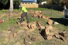 Victorian Tree Specialists provide tailored solutions designed to meet your needs, whether a tree has become hazardous, diseased, or is detracting from your property’s appeal. With obligation-free estimates, council permit support, and a meticulous clean-up process, we make tree removal stress-free and straightforward for Park Orchards residents. The team works closely with you to meet your goals, ensuring a smooth and stress-free experience.
