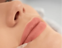 Lip enhancement can help improve volume, definition, symmetry, and facial balance when approached with careful treatment planning. For individuals considering Lip filler nyc services, Elcin Aesthetics provides personalized aesthetic consultations to understand each patient’s preferences and facial proportions. The goal is not simply to add volume but to create results that harmonize with the rest of the face. Depending on individual needs, treatment may focus on subtle definition or a fuller appearance. Professional assessment and precise technique are important when treating the delicate lip area. With customized care, patients can pursue balanced, natural-looking enhancement that complements their existing features and personal aesthetic goals.