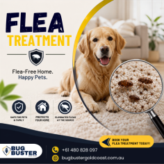 Protect your property from unwanted flea infestations with professional Flea Treatment services designed to eliminate fleas and help prevent their return. Experienced technicians inspect affected areas and use targeted treatment methods to address fleas at different stages of their lifecycle. Suitable for residential and commercial properties, these services help create a cleaner, healthier, and more comfortable environment. Choose trusted flea treatment solutions for reliable pest control, long-lasting protection, and peace of mind for your family and pets.