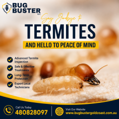 Safeguard your home or business with professional Termite Treatment services designed to eliminate active termite infestations and prevent future damage. Experienced technicians conduct detailed inspections to identify termite activity and apply targeted treatment methods based on your property's specific needs. Using safe and proven termite control solutions, these services help protect your structure, reduce risks, and provide long-lasting protection. Choose trusted termite treatment services for reliable results, expert care, and complete peace of mind.