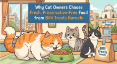 Billi Treats Karachi offers fresh, homemade cat food prepared with real ingredients and no preservatives. Its moisture-rich wet meals and optional jelly can support hydration while providing protein-focused nutrition. For Karachi cat parents seeking freshness, variety, convenience and transparent preparation, Billi Treats provides a practical choice for everyday feline mealtimes.